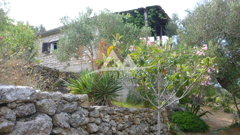 MALA RAVA - CHARMING STONE HOUSE FOR SALE IN THE FIRST ROW TO THE SEA