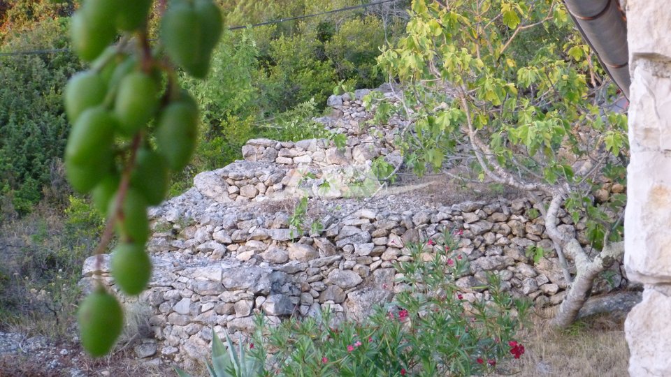 MALA RAVA - CHARMING STONE HOUSE FOR SALE IN THE FIRST ROW TO THE SEA