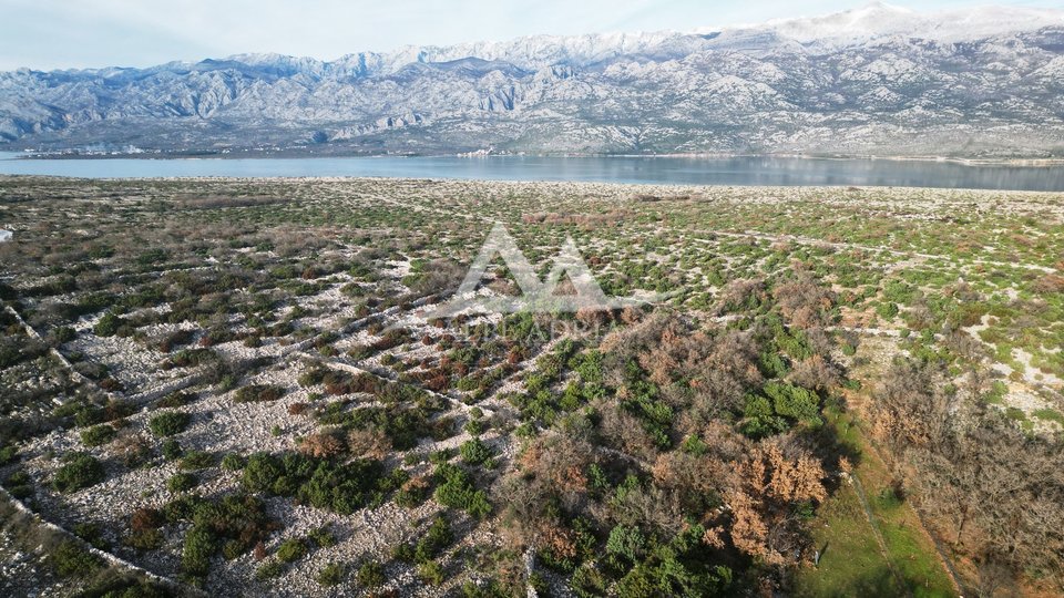 Land, 476 m2, For Sale, Jasenice - Maslenica